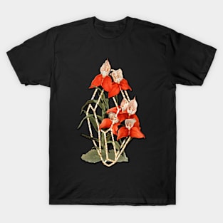 Orchid in Geometric Terrarium T-Shirt